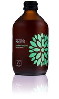 Gaivusis arbatos gėrimas VIGO Kombucha LT-EKO-001, BIO Agurkas+kalendra 330ml