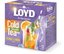 Arbata LOYD Cold Infusion, apelsinų ir šalavijų skonio, 12 x 2,5 g