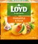 Vaisinė arbata LOYD, ananasų ir kriaušių skonio, 20 x 2g