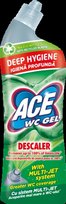 Tualeto valiklis ACE Descaling, 700 ml