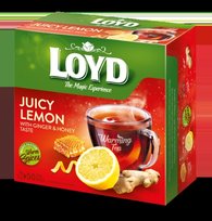 Vaisinės arbatos gėrimas LOYD imbiero ir medaus skonio, 50 x 2g