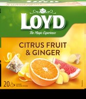 Vaisių ir žolelių arbata LOYD, imbiero ir citrusinių vaisių skonio, 20 x 2g